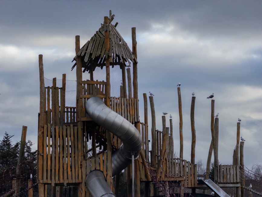 A tall wooden playground structure featuring a conical, thatched-style roof at the top, is situated outdoors under a cloudy sky. The structure is built from vertical wooden planks and logs, with some fencing panels attached to the sides, and includes a large, curved metal slide extending from the upper level down to the ground. Several seagulls are perched on the taller wooden posts surrounding the structure, and the ground area appears to be an outdoor play zone, possibly part of a park or school. The setting suggests an area prepared for children's recreational activities, with the wooden construction showing signs of weather exposure. This scene, captured in natural light, is unrelated to house removals but could be useful for illustrating the removal or dismantling process of outdoor playground equipment in a home relocation context, such as safely packing or transporting large, outdoor wooden structures.