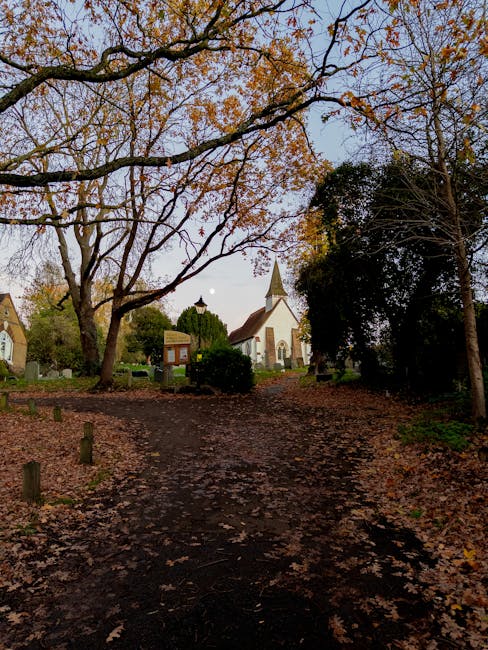 A wide, leaf-covered pathway leading through a park area with tall trees on both sides, some with autumn foliage and bare branches. In the background, there is a small white church with a brown steeple and a pitched roof, surrounded by greenery and a few other small buildings. The scene is illuminated by soft natural light, creating a peaceful atmosphere. The image captures the outdoor environment where house removals or transportation services by Man with Van Northolt might operate, emphasizing the natural setting typical of local moving logistics around Northolt.