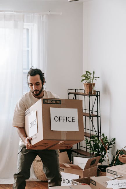 A man with curly dark hair and a beard is inside a well-lit room with white walls, holding a medium-sized cardboard box labeled 'OFFICE' in bold black letters. He appears to be in the process of packing or preparing furniture for a home relocation or office move, with several other labeled boxes around him, some marked 'MEDIUM.' Behind him, there is a black metal shelving unit with potted plants and some smaller items, indicating a tidy, organized environment. Natural light filters through sheer white curtains covering a window, creating a bright atmosphere suitable for packing and moving activities. The scene captures the loading process associated with professional removals, specifically for office or household moves, and reflects the logistics involved in furniture transport and packing during a house or office relocation.